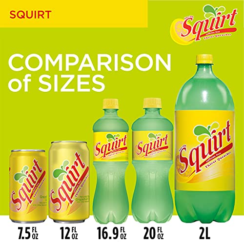 Squirt Citrus Soda, 12 Fl Oz Can Pack Of 12