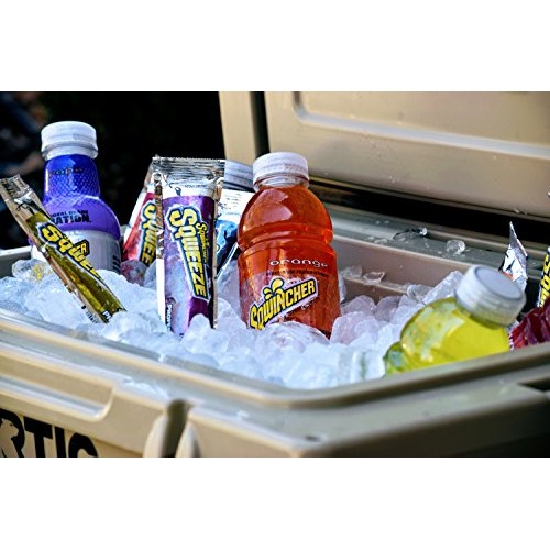 Sqwincher Activity Drink, Lemon Lime, 20 Oz Case Of 24