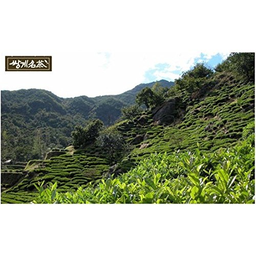 Mulberry Leaves Tea 1G X 40 Tea Bags, Korean Herb Leaves