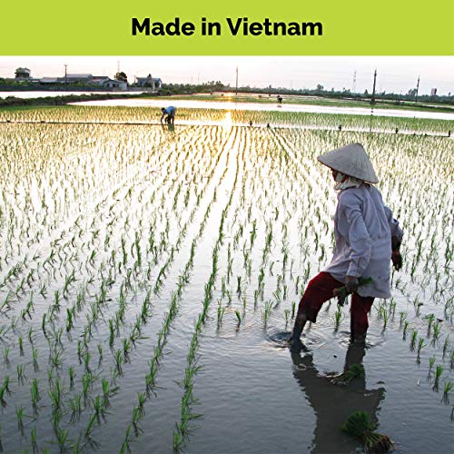 Rice Noodles, Brown Rice Noodles, Ramen Noodles Alternative, Non