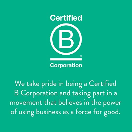 Stash Tea Southern Peach Premium Loose Leaf Black Tea, 16 Ounce