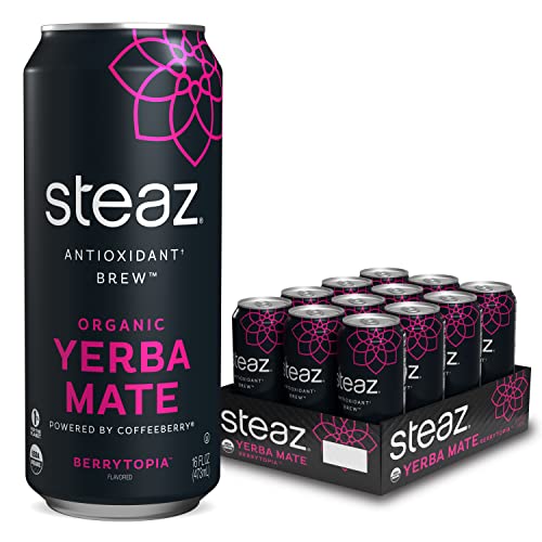 Steaz Antioxidant Brew Organic Yerba Mate Tea 16 oz Pack of 12 ...