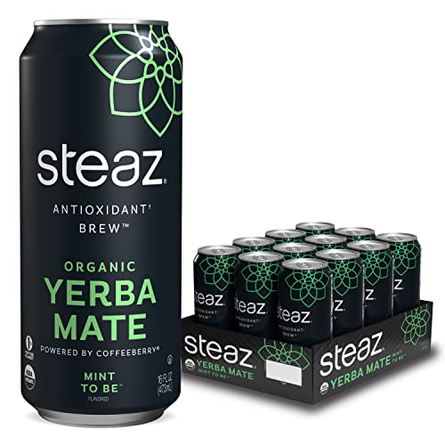 Steaz Antioxidant Brew Organic Yerba Mate Tea 16 oz Pack of 12 ...
