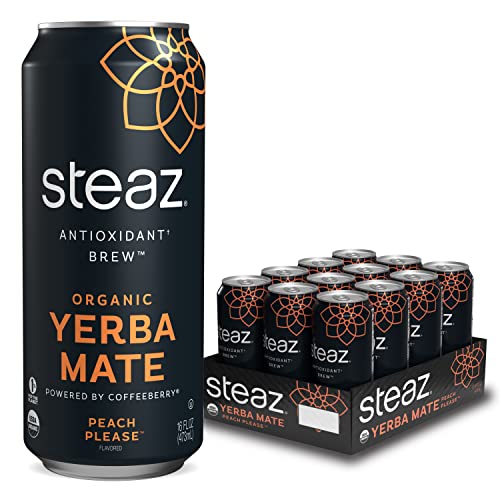 Steaz Antioxidant Brew Organic Yerba Mate Tea 16 oz Pack of 12 ...