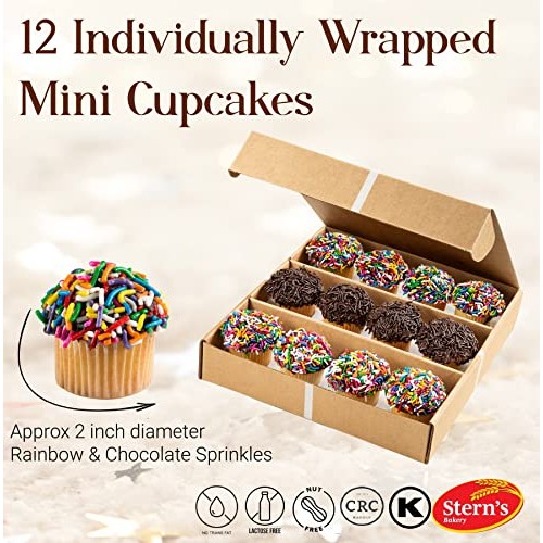 Happy Birthday Cupcakes | 12 Individually Wrapped MINI Cupcakes ...