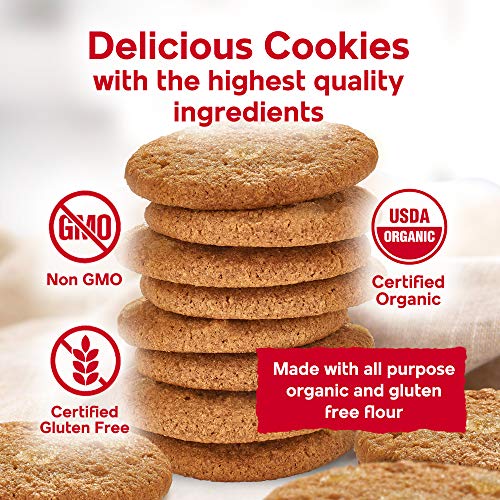 Thin And Crispy All-Natural Ginger Snaps Gingerbread Cookies, Gl