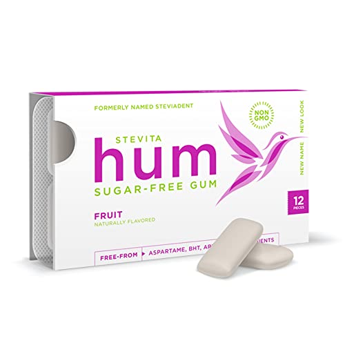 Stevita Steviadent Sugar-Free Gum - Natural Fruit Flavor 12 Pac
