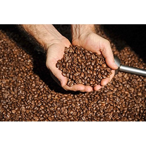 Gourmet Chocolate Hazelnut Flavored Ground Coffee | 1 Lb Bag | F