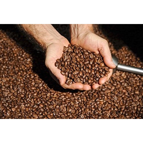 Half Caff Ground Coffee | 1 Lb Bag | Swiss Water Processed Chemi