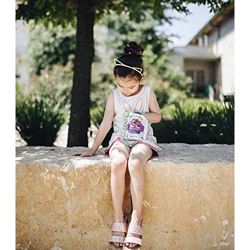 Stoneridge Orchards Organic Berry Mix 4 Oz 6 Pack - Whole Drie