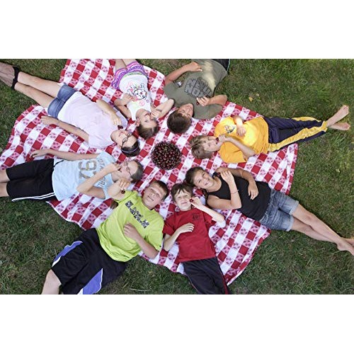 Stoneridge Orchards Organic Berry Mix 4 Oz 6 Pack - Whole Drie