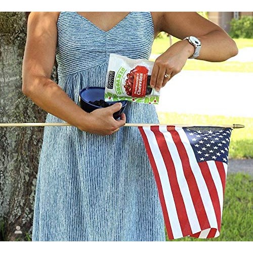 Stoneridge Orchards Organic Montmorency Cherries 4 Oz - Whole Dr