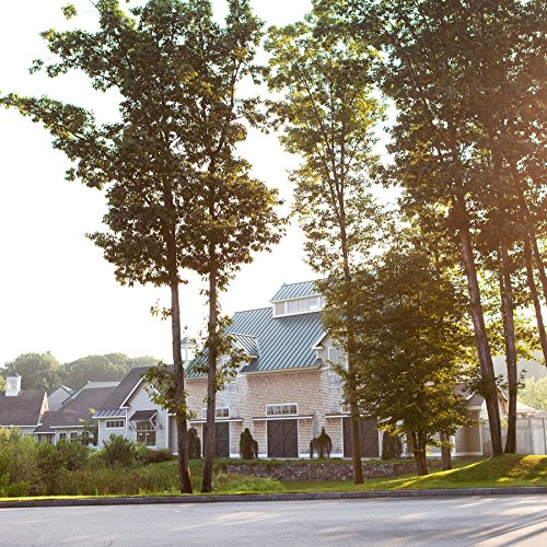 Stonewall Kitchen Guacamole Starter, 7.75Oz