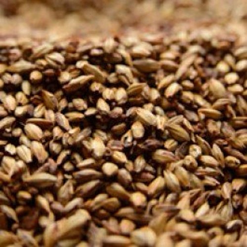 Briess 2-Row Caramel 60L Uncrushed Malt - 5 Lb. Bag