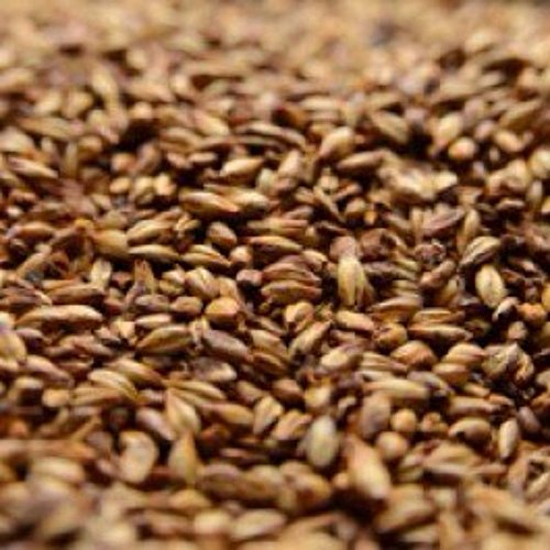 Briess 2-Row Caramel 80L Crushed Malt - 5 Lb. Bag