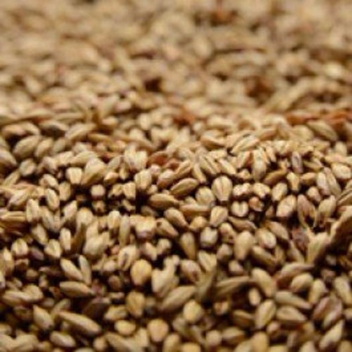 Briess Caramel 20L Crushed Malt - 5 Lb. Bag