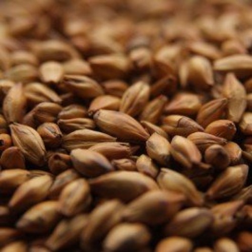 Crisp Crystal 60L Uncrushed Malt - 1 Lb. Bag