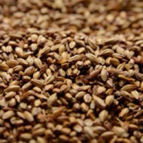 Briess 2-Row Caramel 40L Crushed Malt - 1 Lb. Bag