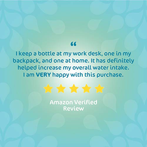 Stur - Coconut Pineapple, Natural Water Enhancer 5 Bottles, Mak