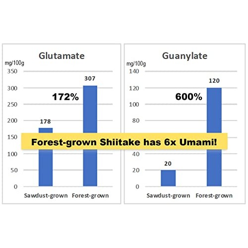 Organic Forest-grown Japanese Shiitake Powder 40g, Natural Umami...