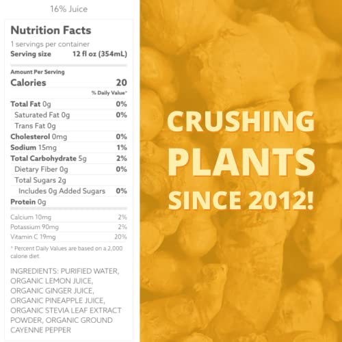 Suja Organic Cold-Pressed Ginger Love, Fruit Juice with No Addit...