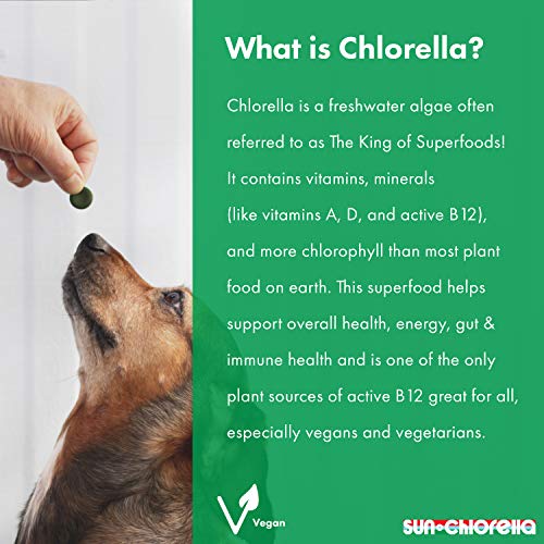 Sun Chlorella- Rejuv-A-Wafers- Chlorella &Amp; Eleuthero Superfood S