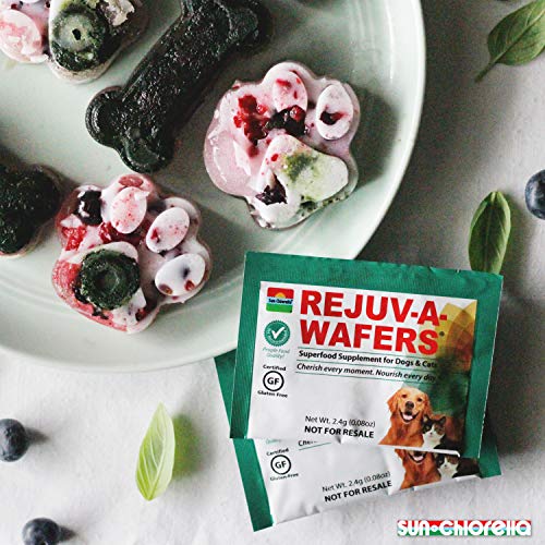 Sun Chlorella- Rejuv-A-Wafers- Chlorella &Amp; Eleuthero Superfood S