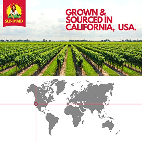 Sun-Maid California Golden Raisins - 12 oz Sharing-Size Box - Dr...