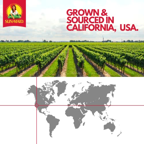 Sun-Maid Organic California Sun-Dried Raisins - 2 Pack 32 oz R...