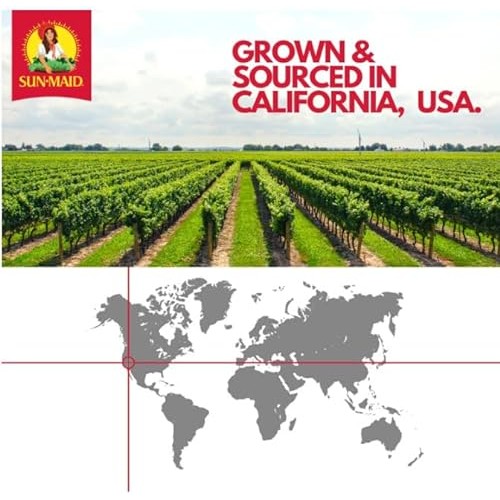 Sun-Maid Peach Fruity Raisin Snacks - 56 Pack 0.7 oz Pouches -...