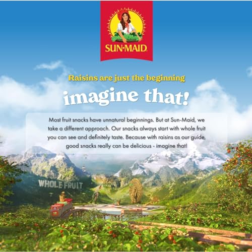 Sun-Maid Vanilla Yogurt Coated Raisins - 6 Pack 1 oz Snack-Siz...