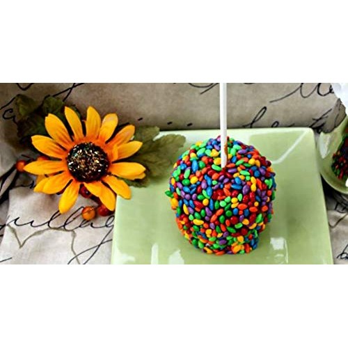 Chocolate Covered Sunflower Seeds - Multicolored Candy Coated Tr