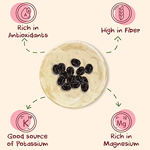 ORGANIC Dried Tart Cherries - Sunny Fruit - 16oz Bulk Bag | Pure...