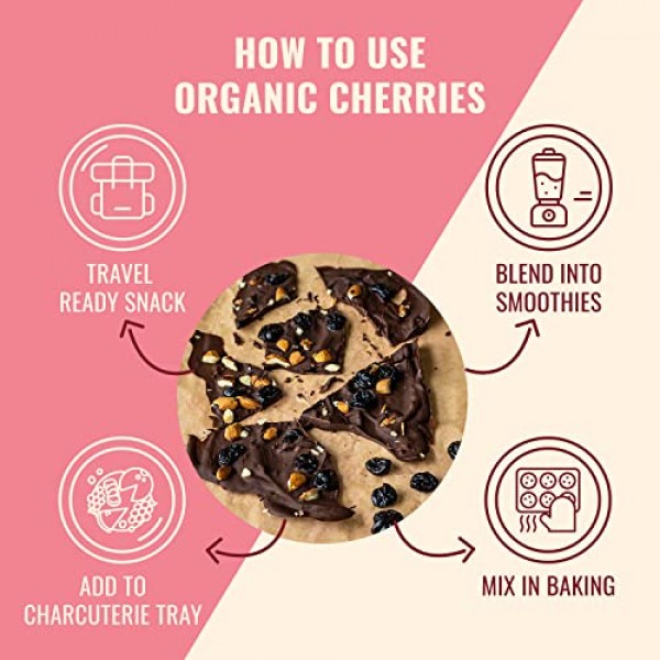 ORGANIC Dried Tart Cherries - Sunny Fruit - 16oz Bulk Bag | Pure...