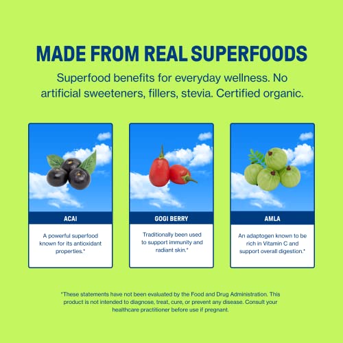 Sunwink Berry Healthy Skin Organic Superfood Powder Mix Antioxid