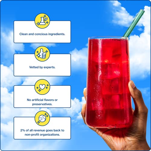 Sunwink Berry Healthy Skin Organic Superfood Powder Mix Antioxid