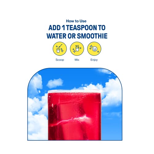 Sunwink Berry Healthy Skin Organic Superfood Powder Mix Antioxid