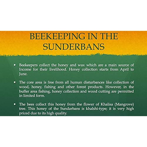 Organic Honey | Turmeric Honey With Black Pepper | Honey For Tea