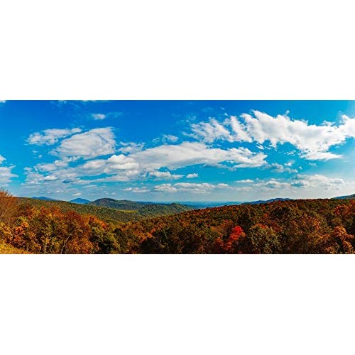 Virginia Turmeric Ginger Honey With Black Pepper | Super Honey |