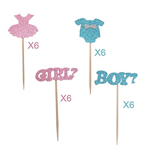 Gender Reveal Cupcake Toppers ,Baby Shower Cupcake Toppers Boy O