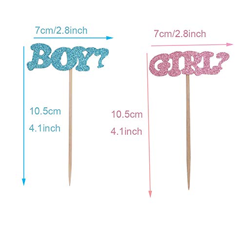 Gender Reveal Cupcake Toppers ,Baby Shower Cupcake Toppers Boy O