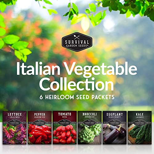 Survival Garden Seeds - Italian Vegetable Collection - Romanesco...