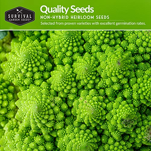 Survival Garden Seeds - Italian Vegetable Collection - Romanesco...