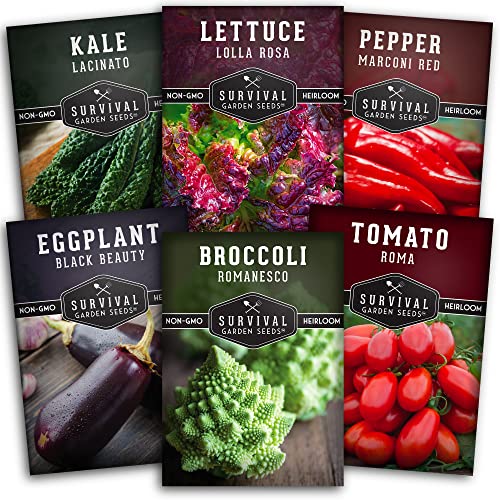 Survival Garden Seeds - Italian Vegetable Collection - Romanesco...
