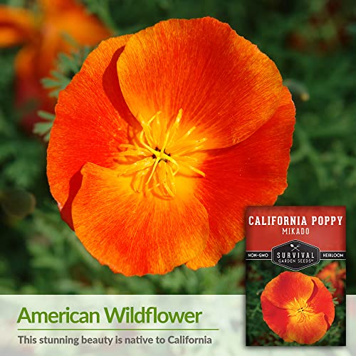 Survival Garden Seeds - Mikado California Poppy Seed for Plantin...