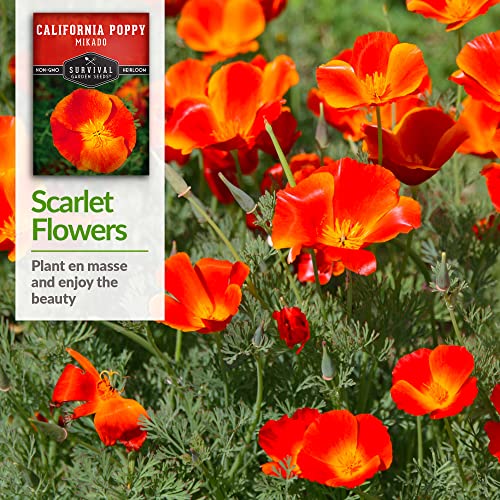 Survival Garden Seeds - Mikado California Poppy Seed for Plantin...