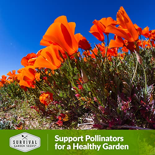 Survival Garden Seeds - Mikado California Poppy Seed for Plantin...