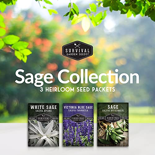 Survival Garden Seeds Sage Collection Seed Vault - White Sage S...