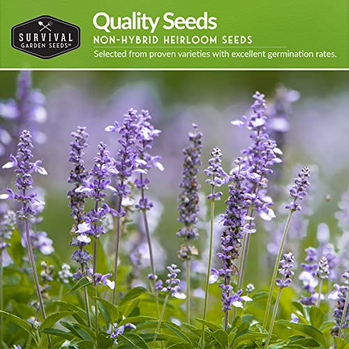 Survival Garden Seeds Sage Collection Seed Vault - White Sage S...
