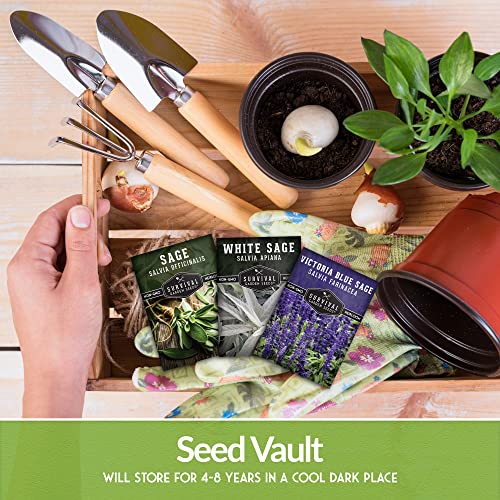 Survival Garden Seeds Sage Collection Seed Vault - White Sage S...